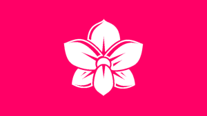 Anduoshibei.png